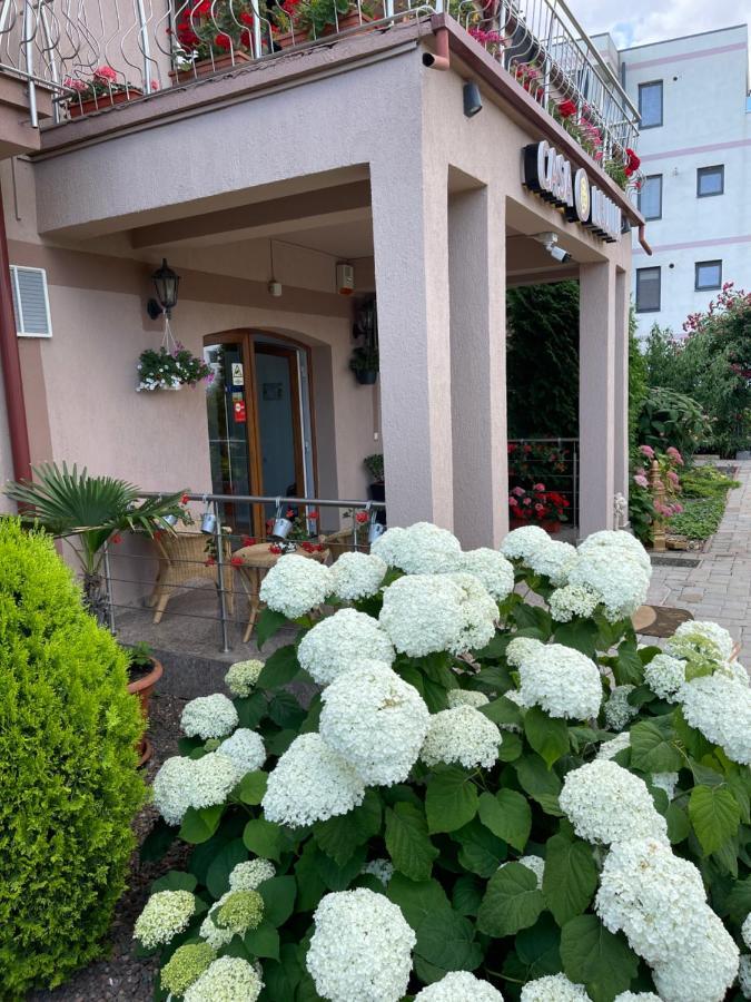 Hotel Ametist Casa Leului Năvodari Esterno foto