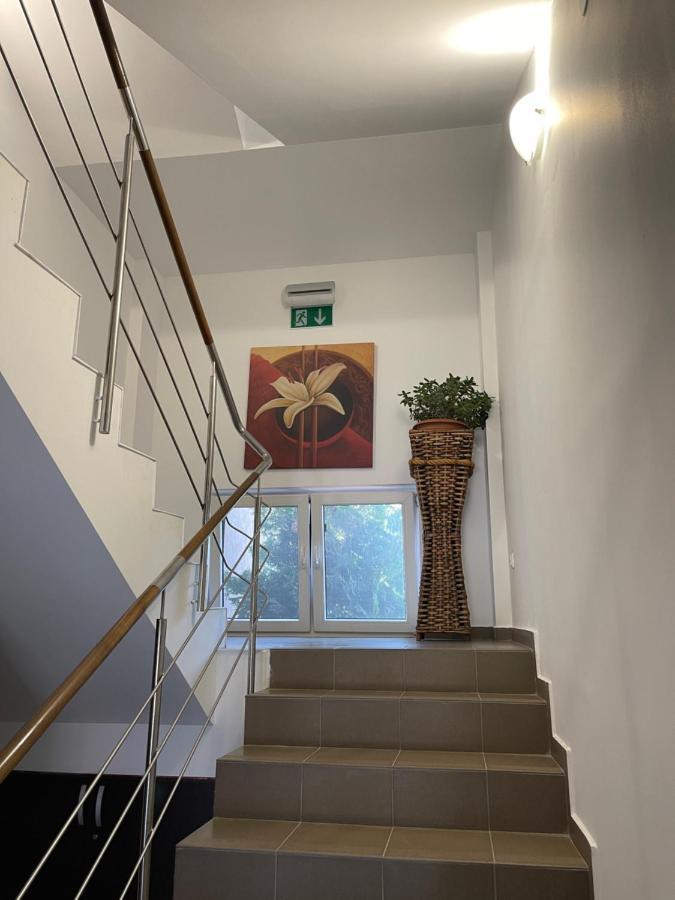 Hotel Ametist Casa Leului Năvodari Esterno foto