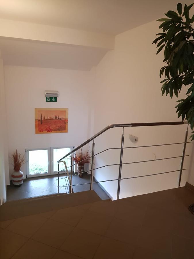 Hotel Ametist Casa Leului Năvodari Esterno foto